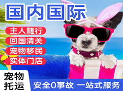 地窝堡机场快运国际宠物托运 【国